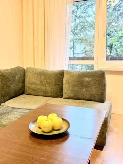 Apartament blisko centrum, lotnisko - 6