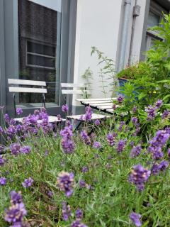 Historic Boutique Suite - Haarlem - 9