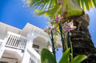Palm Breeze Hotel - 0