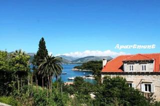 Sandy Beach Apartments - Koločep - 8