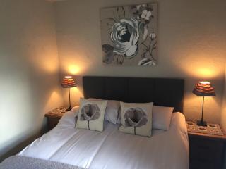 Brookvale Cottage - Downpatrick - 4