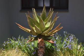 Be At Home Guesthouse - Klerksdorp - 6