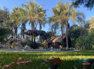 APARTBEACH OASIS con JARDIN TROPICAL - 7