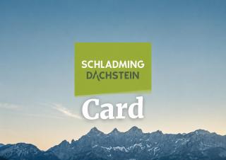 Appartements Luna - Schladming - 8