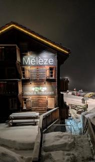 Meleze - 3