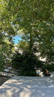 Pelion East Coast Retreat - 9