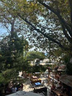 Pelion East Coast Retreat - 6