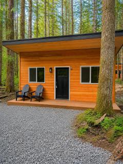 Tiny Cabin Retreat at Mt Rainier with Hot Tub & Sauna - 3