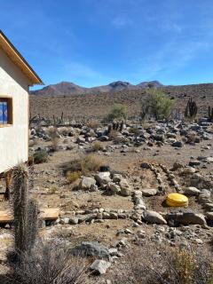 Secretos del Elqui - 6
