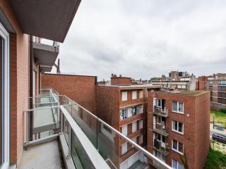 De Meeuwen vijfde - 2