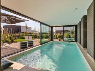 Zilte Watervilla - 0