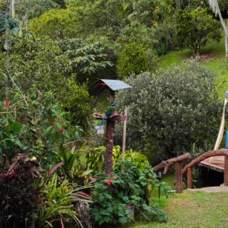 Luna Verde Eco Hábitat - 4