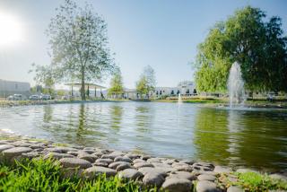 Vistas increíbles, alberca, lago y gym al sur de la ciudad - 8