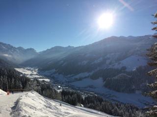 Appartementhaus Elmo Viehhauser KG - 1