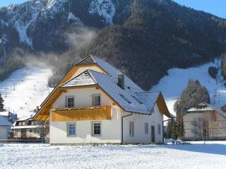Apartmaji Mlinar - 9