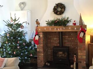 Brookvale Cottage - Downpatrick - 1