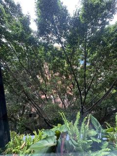 Loft laureles 604 - 3