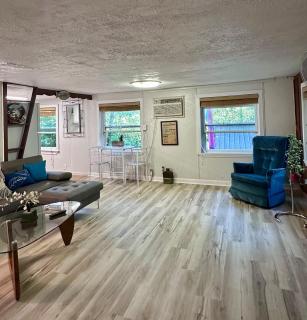 Riverfront Cabin Retreat - Private Dock & Wildlife Views - 3