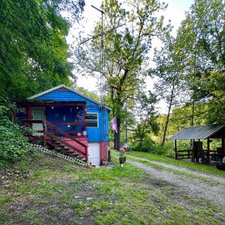 Riverfront Cabin Retreat - Private Dock & Wildlife Views - 1