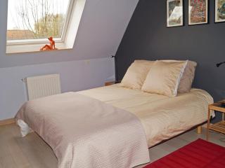Appartement wifi, animaux OK, central - 4 pers. - FR-1-510-254 - 8