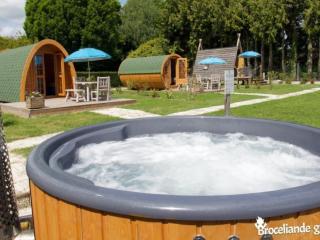 Mobil-home climatisé, animaux admis - 6 pers. - API-1-52-2794 - 7