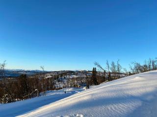 Cabin In Ål Mountains With Hallingskarvet Views - 8