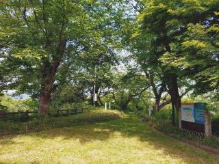Guest House NODOKA - 8