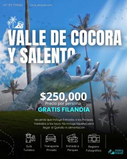 Molcabaña Casa con Jacuzzi privado y diseño de interiores profesional, ubicada en el norte de Armenia, es la casa TOP de Molca Travel - 8