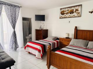 Casa Tulipanes - 6