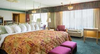 Rodeway Inn & Suites - 8