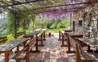 Lovely Home In Casarza Ligure - 5