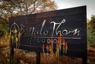 Buffalo Thorn Lodge - Pilanesberg - 8