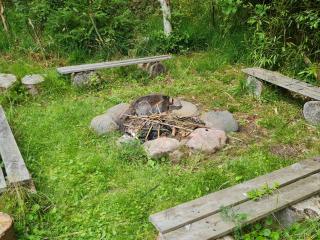 Large Child-Friendly Holiday Home North Sealand - 4