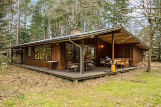 Nice Summer House In The Middle Of The Forest - 4