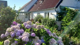 Cozy Fishermans House Near The Sea - 9