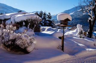 Scherntreinerhof - Westendorf - 3