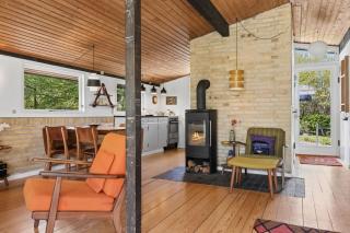 Nostalgic 1960S Idyll - 4