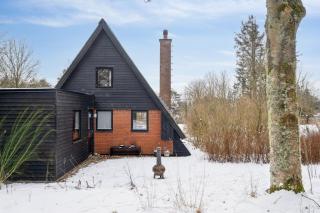 Holiday Home Near Beach And Limfjord - Thyholm - 1