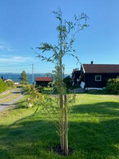 Cabin With Unique Panoramic Views Close To The Sea - 9