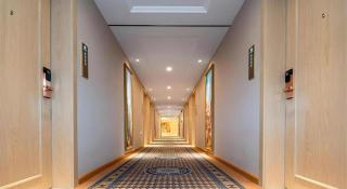 Vienna Hotel Tibet Lazi Mount Everest -  - 7