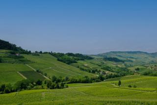 Casa Rafanelli - Monforte d'Alba, Vineyard Views, Panoramic Garden, EV Sation & Bike Storage - 6