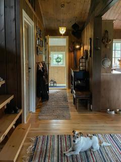 Cabin With Rauland Mountain Views - Rauland - 1