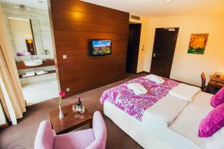 Hotel Zochova Chata - Adult friendly - Modra - 5