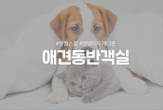 호텔 더스테이낭만 평리점 - 8