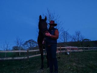 Les Ecuries du Ranch - 2
