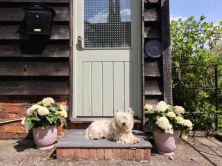 Upper Pandy Farm - 8