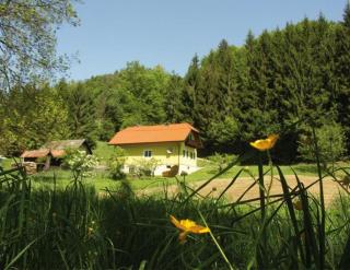 Ferienhaus Margarete - 7