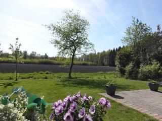 Vechtdal Chalet de Wilg - 9