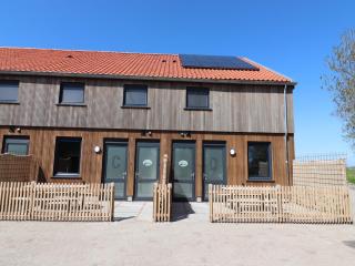 Newly built group villa in Friesland - 0