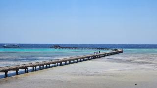 the Spacious Sea & Golf Retreat - 5